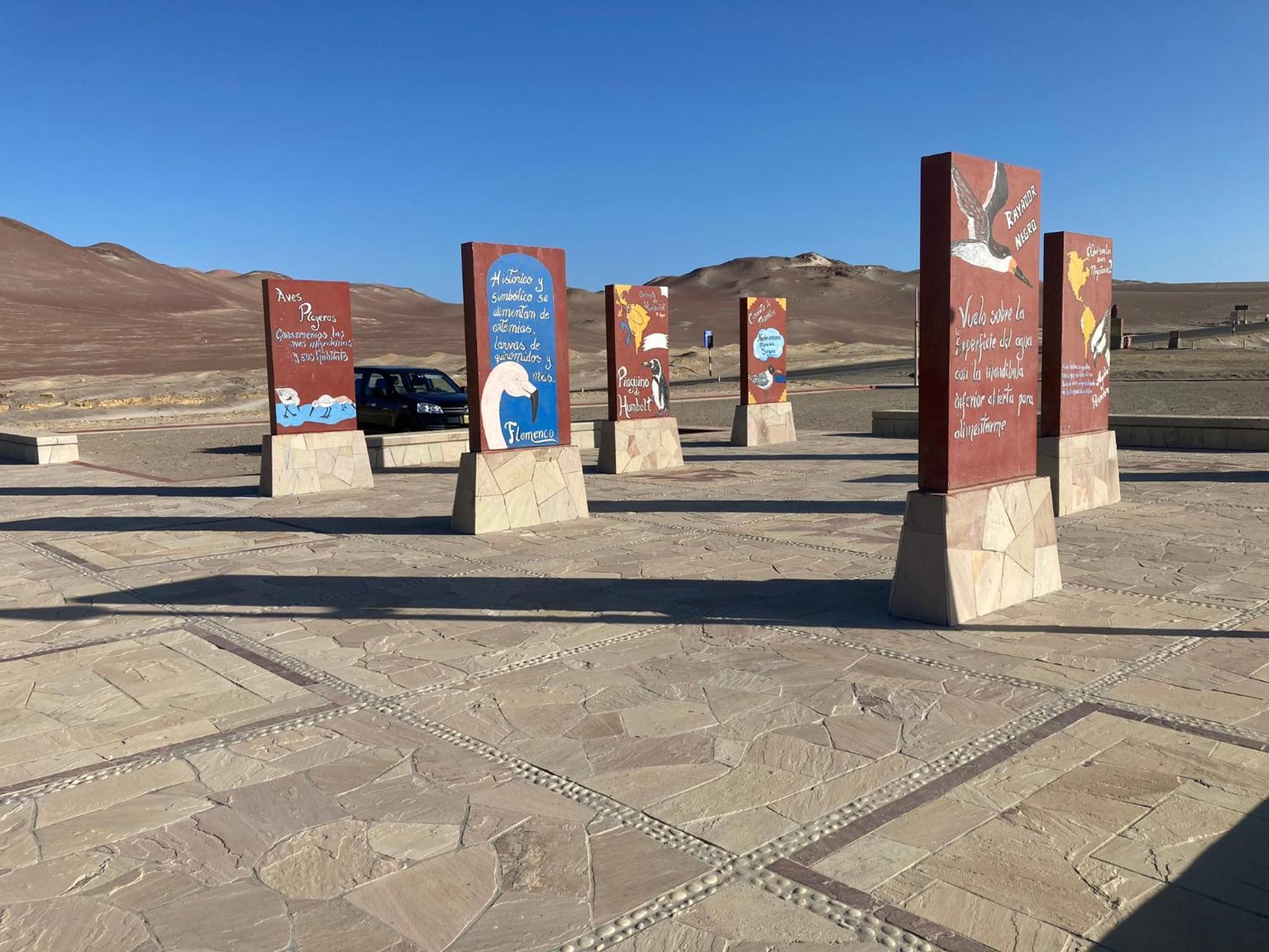 Paracas Camp Lodge & Experiences Eksteriør billede