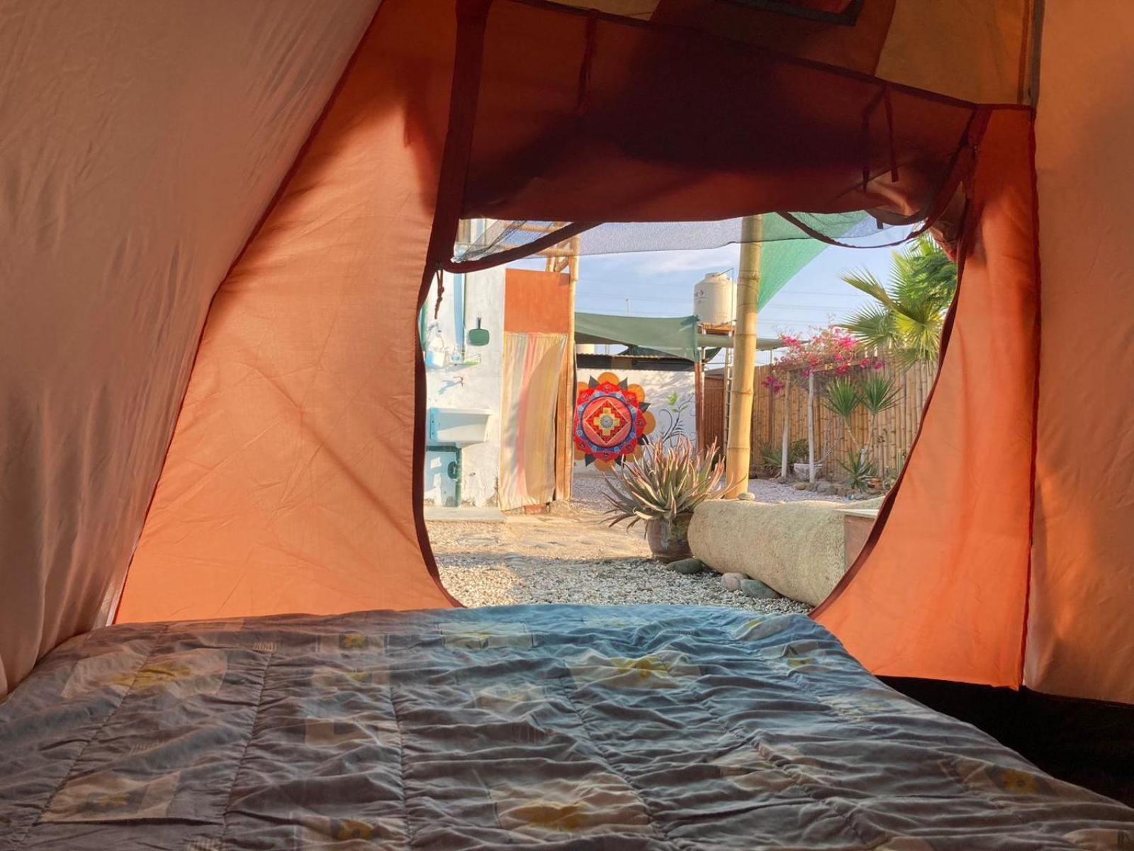 Paracas Camp Lodge & Experiences Eksteriør billede